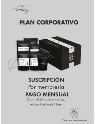 Corporativo