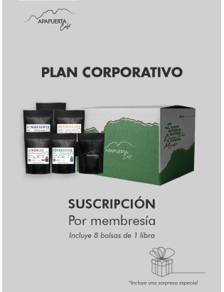 Corporativo