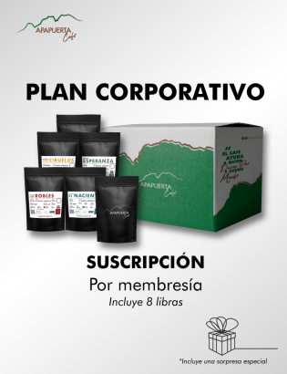 Company